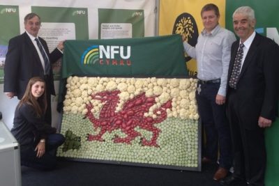 Welsh Flag out of Veg