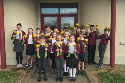 Mothers Day Daffodils to Schools 2019